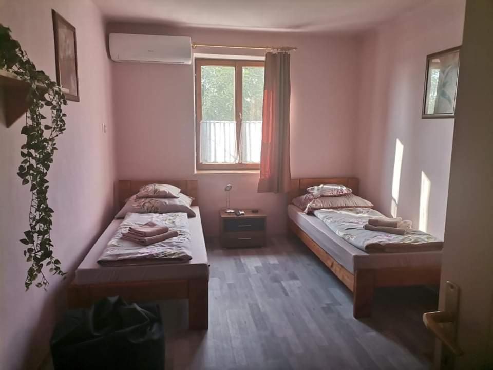 Pazsit-To Vendeghaz Lägenhet Békésszentandrás Exteriör bild